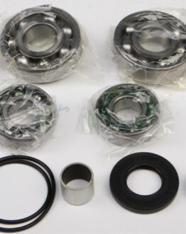 Differential Bearing & Seal Kit