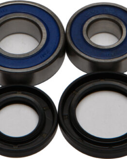 Wheel Bearing & Seal Kit