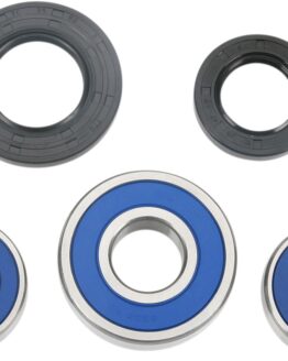 Wheel Bearing and Seal Kits