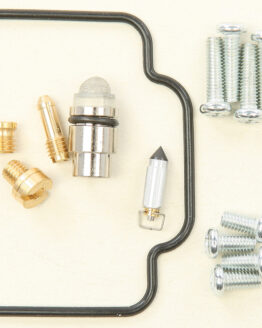 Carburetor Repair Kit