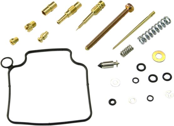 Carburetor Repair Kit