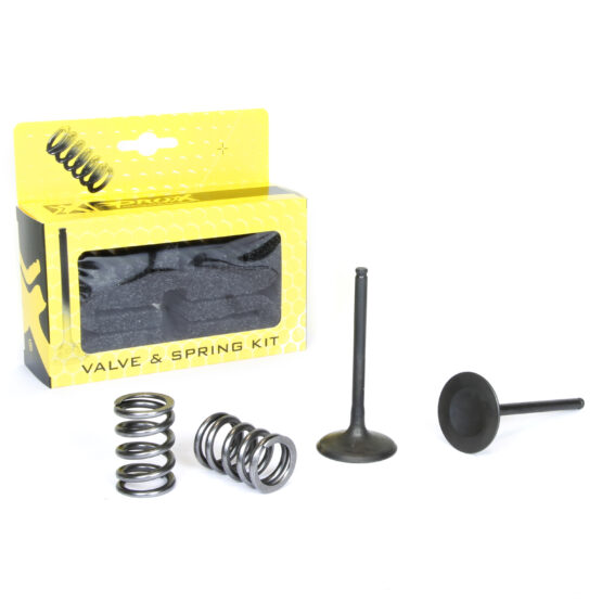 Steel Intake Valve/Spring Kit