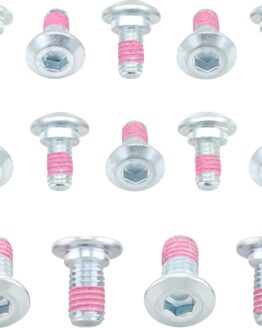 Rotor Bolts