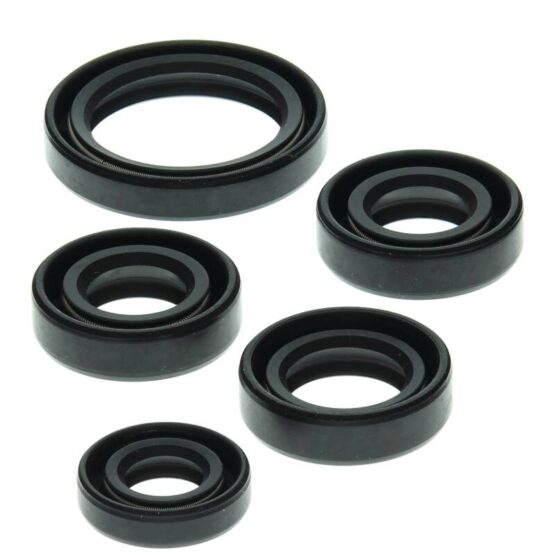 Oil Seal Kit