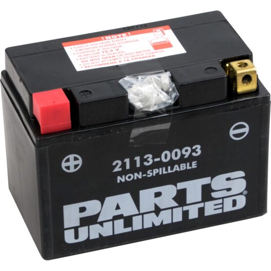 AGM Maintenance Free Battery 230CCA 12V 11.2Ah Factory Activated