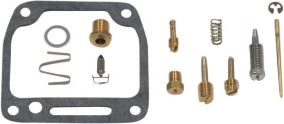 Carburetor Repair Kit