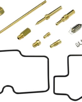 Carburetor Repair Kit