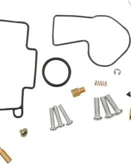 Carburetor Repair Kit