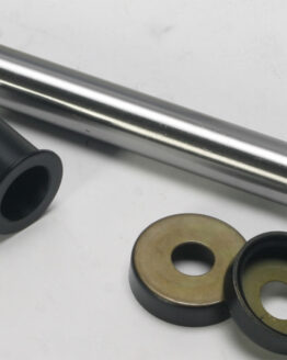 Swing Arm Bearing Kit