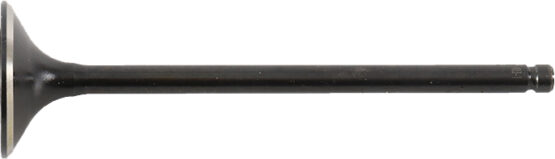 Single Titanium Exhaust Valve