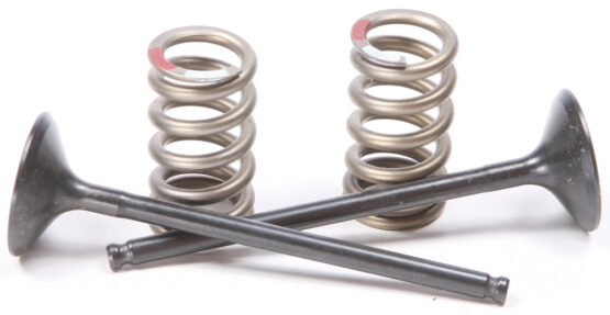Steel Exhaust Valve/Spring Kit