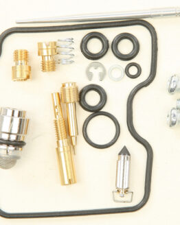 Carburetor Repair Kit