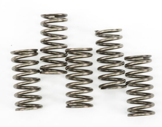CSK Series Clutch Springs