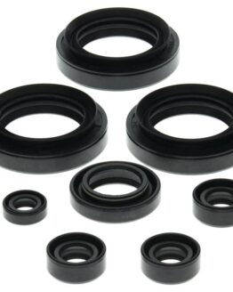 Vertex Engine Oil Seal Kit 822151