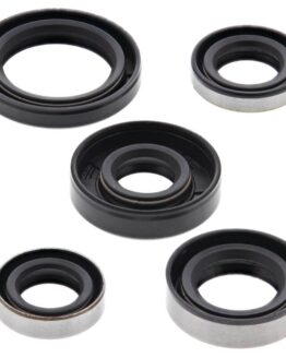 Vertex Oil Seal Kit Fits 2002-2022 Kawasaki KLX110