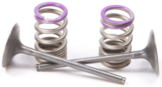 Steel Intake Valve/Spring Kit