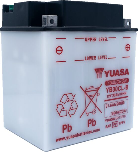 Yuasa YB30CL-B Yumicron 12V Battery - Image 3