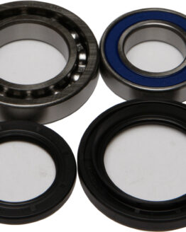 Wheel Bearing & Seal Kit