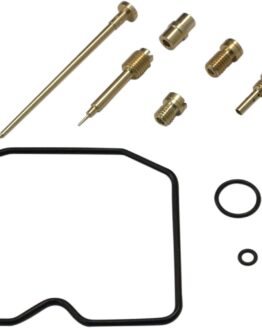 Carburetor Repair Kit