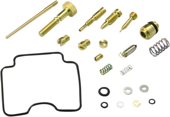 Carburetor Repair Kit