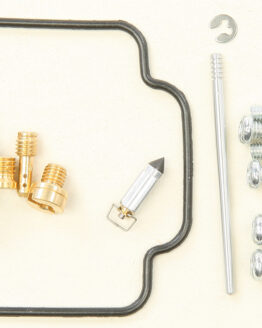 Carburetor Repair Kit