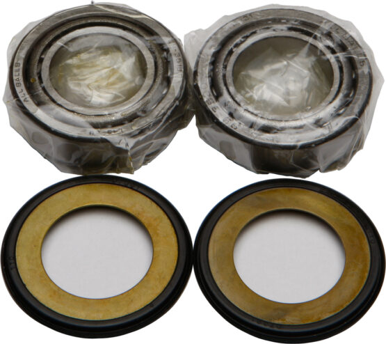 Steering Head Bearing & Seal Kit - Image 2