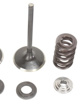 Stainless Intake Valve and Spring Kit