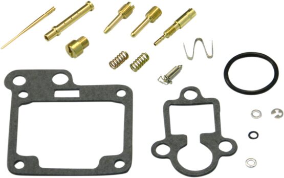 Carburetor Repair Kit