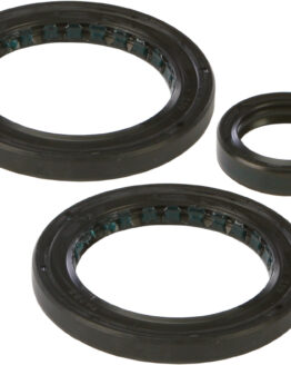 Differential Seal Kit