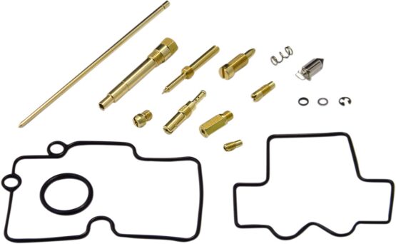 Carburetor Repair Kit