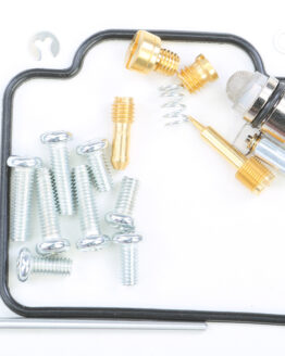 Carburetor Repair Kit