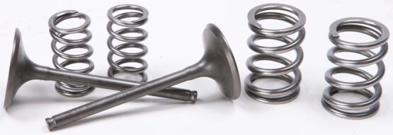 Steel Intake Valve/Spring Kit