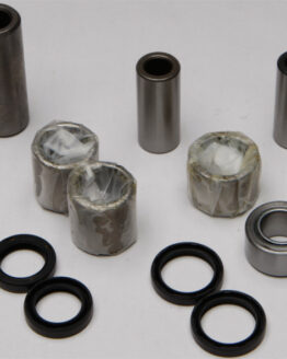 Swing Arm Linkage Bearing & Seal Kit
