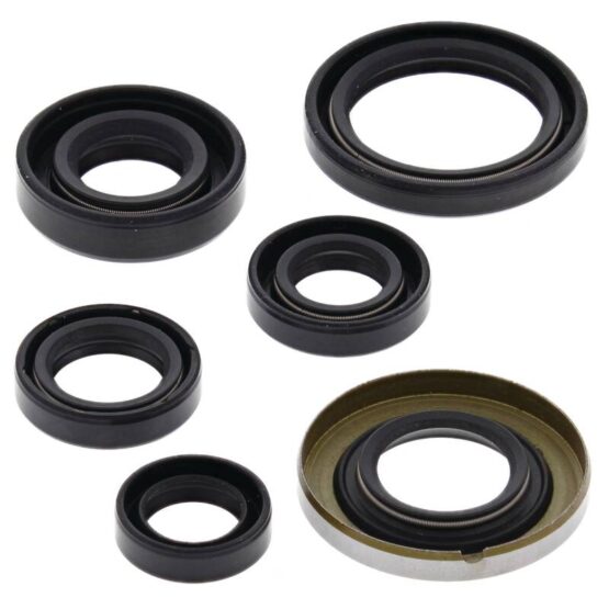 Vertex Oil Seal Kit Fits 2005-2008 Honda TRX400EX