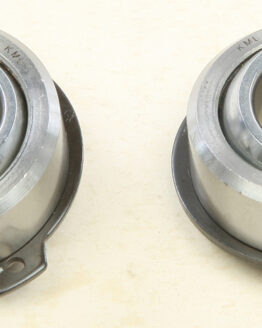 Swing Arm Bearing Kit