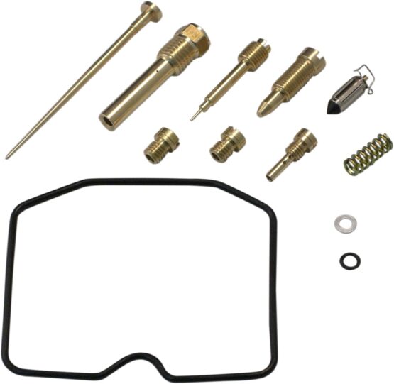 Carburetor Repair Kit