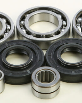 Differential Bearing & Seal Kit