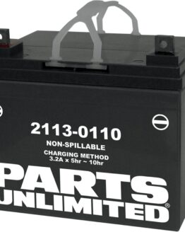 Factory Activated AGM Maintenance Free Battery