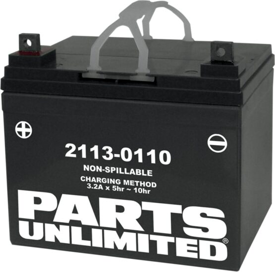 Factory Activated AGM Maintenance Free Battery
