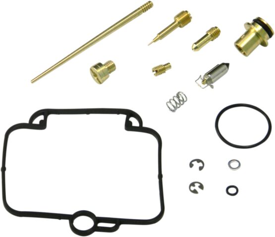 Carburetor Repair Kit