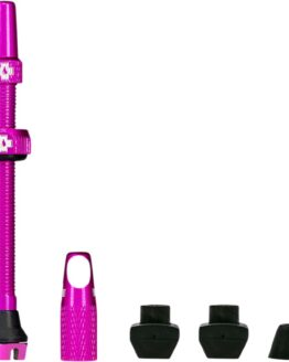 Tubeless Valve