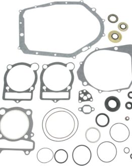 Complete Gasket Kit w/Oil Seals