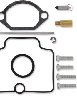 Carburetor Repair Kit