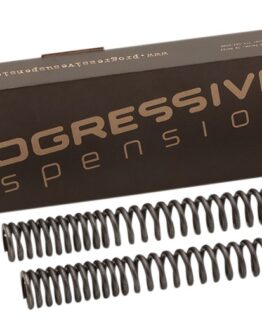 Fork Spring Kit