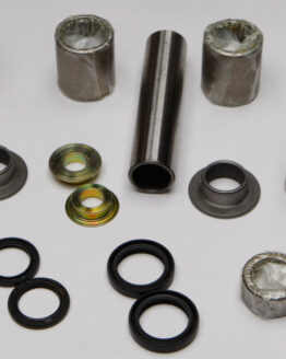 Swing Arm Linkage Bearing & Seal Kit