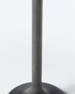 Black Diamond Intake Valve