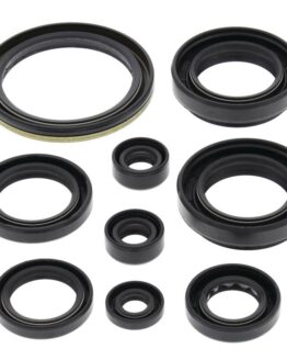 Vertex Engine Oil Seal Kit Fits 2000-2009 Arctic Cat Suzuki