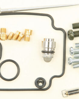 Carburetor Repair Kit