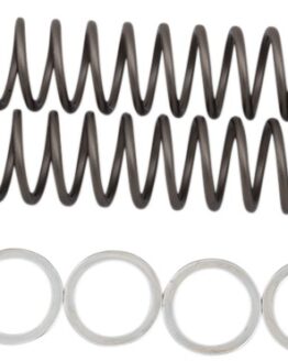 Fork Springs .95KG