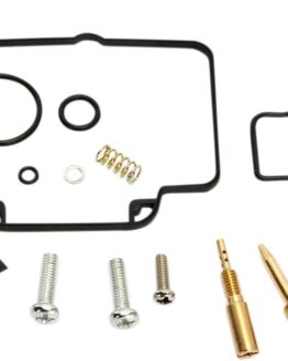 Carburetor Repair Kit
